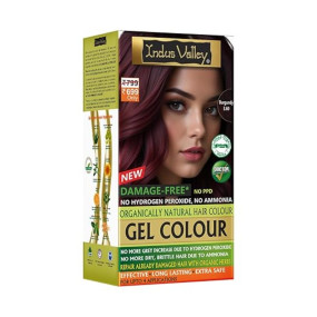 INDUS VALLEY Damage Free Natural Gel Hair Colour for Women Ammonia & PPD Free Organic Hair Colour with 100% Grey Coverage, Long Lasting Conditioning Hair Color Burgundy 1.00-220 ml