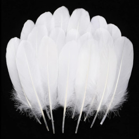 Prescent 40pc White Natural Goose Feathers for Carft, Decoration, and Much More (White, Pack of 40)